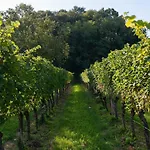 Tenuta Della Casa Wine & - La Pausa Del Collio *