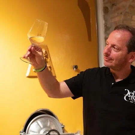 Tenuta Della Casa Wine & - La Pausa Del Collio * 科蒙斯