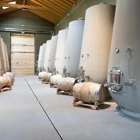 Alojamento de Turismo Rural Tenuta Della Casa Wine & - La Pausa Del Collio *