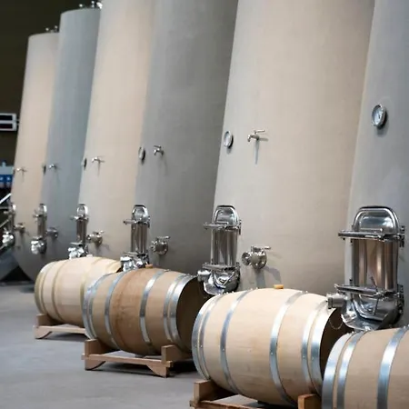 Tenuta Della Casa Wine & - La Pausa Del Collio 农家乐 *