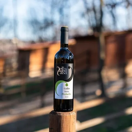 农家乐 Tenuta Della Casa Wine & - La Pausa Del Collio 科蒙斯