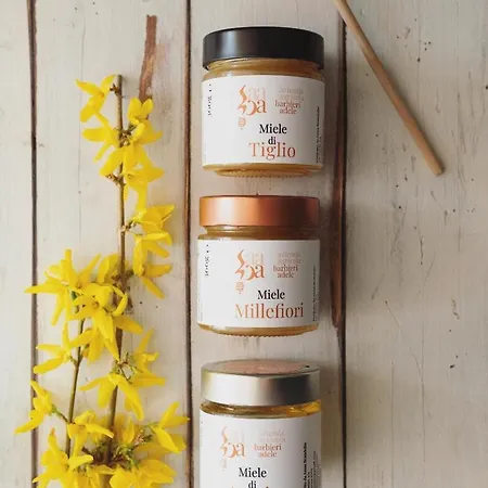 Alojamento de Turismo Rural Tenuta Della Casa Wine & - La Pausa Del Collio *