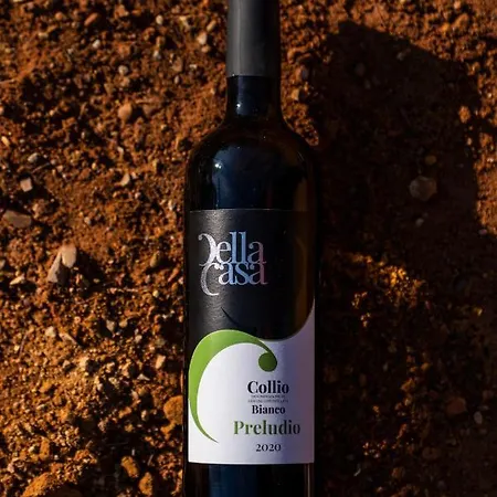 Tenuta Della Casa Wine & - La Pausa Del Collio * Cormòns